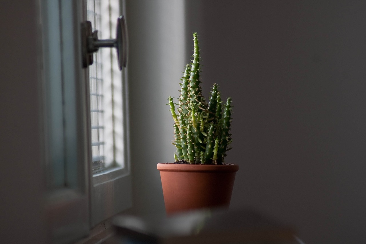 Homemade Plant Pots from Recycled Materials